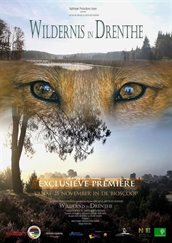 Poster 'Wildernis in Drenthe'