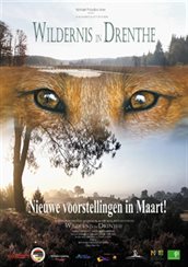 wildernis_in_drenthe