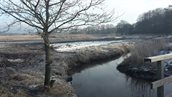 Taarlosebrug - beekdal - winter